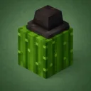 🌵 CactusMc