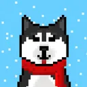 BonDog Nfts | Shibarium