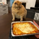 pizza avatar