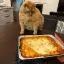 pizza party