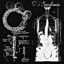 saratonin