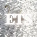 ୨𝗘𝗟𝗟𝗘'𝗦 𝗧𝗥𝗔𝗗𝗜𝗡𝗚 𝗦𝗘𝗥𝗩𝗘𝗥୧