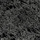 Smartasses Discord server icon