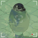 ConSealed ⏾ Discord server icon