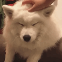 🐶/Fetchh🐶 - goofballs only! icon