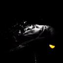 Lieless
