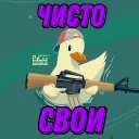 Чисто Свои