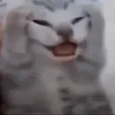 QQQQQQQ