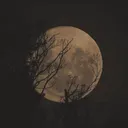 Haunted Howls (16+)