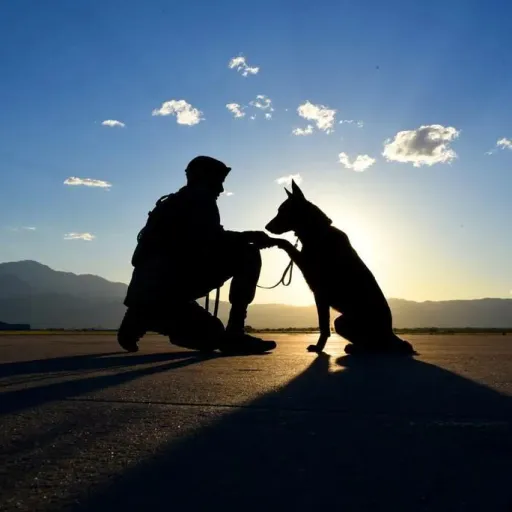 Верные рядом — мониторинг Discord сервера, статистика и рейтинг