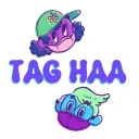 TAG Health and Accomodations Group (HAA)