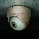 /humans 👽| 18+