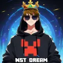 NST_Dream Paradise