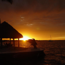 🌅Sunset palace🌅