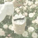 𓈒    ୭ৎ   moonlit garden    𝅄