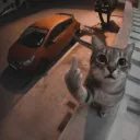 🎧Меломаны ❤ — мониторинг Discord сервера, статистика и рейтинг