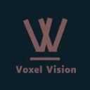 Voxel Vision