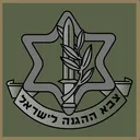 Israel Defense Force
