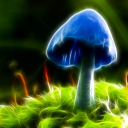 Gaming Server by GrzybexYT