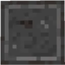 Perception SMP