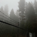 ִֶָ. ..𓂃 ࣪ ִֶָ🪽་༘࿐ NEVERHILLS . Discord server icon