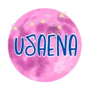 USAena SUPPORT GROUP