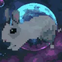 Bunny Studio
