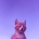 Гул Тишины