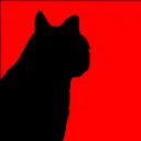 kitty Bastards