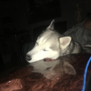 nightmare café Discord server icon