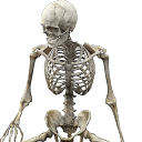 Krinj Dynasty Discord server icon