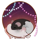 Starry's Constellation