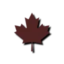 India Company, 2RCR