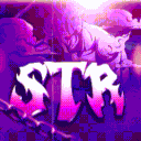 STORM┃STR