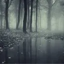 𓆝 𝔗𝔥𝔢𓆟 𝔘𝔫𝔨𝔫𝔬𝔴𝔫𓆞ℜ𝔢𝔞𝔩𝔪𓆝