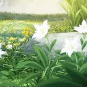 ˗ˏˋ ꒰ komorebi ꒱ ˎˊ🍀