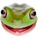 Frog Chatters