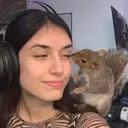 Le nid 🐿