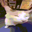 Dictator victims Discord server icon