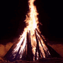 The Bonfire