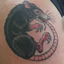 The Vermin Court