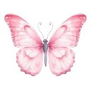 Little Butterflies Discord Server