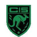 CI5: The New Professionals