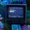 Kali Uchis Discord Server Icon