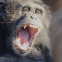 世界一低い民度を目指す鯖