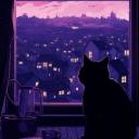 ✧₊⁺⋆ ପଓ 옥탑방고양이 ପଓ ⋆⁺₊✧