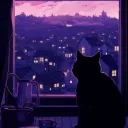 ✧₊⁺⋆ ପଓ 옥탑방고양이 ପଓ ⋆⁺₊✧