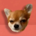 Discovery icon for 📈 Сᴇᴘвᴀк для всᴇго лучшᴇго Discord server