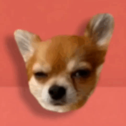 Discovery icon for 📈 Сᴇᴘвᴀк для всᴇго лучшᴇго Discord server