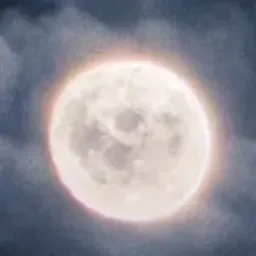 Night — мониторинг Discord сервера, статистика и рейтинг